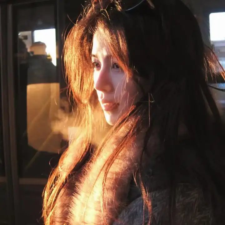 大使的宝藏家宴